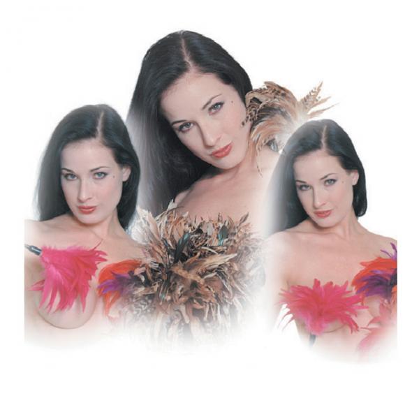 Pleasure Feather Tickler (black) - Secret Garden