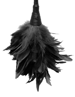 Fetish Fantasy Frisky Feather Duster Black - Secret Garden