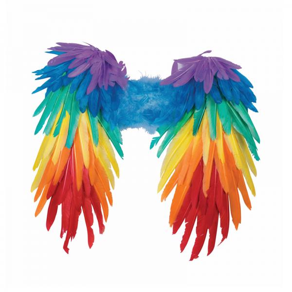 Rainbow Feather Wings - Secret Garden