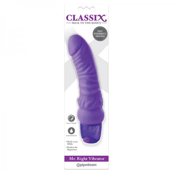 Classix Mr. Right Vibrator Purple - Secret Garden