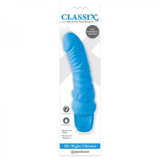 Classix Mr. Right Vibrator Blue - Secret Garden